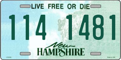 NH license plate 1141481