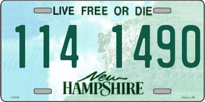 NH license plate 1141490