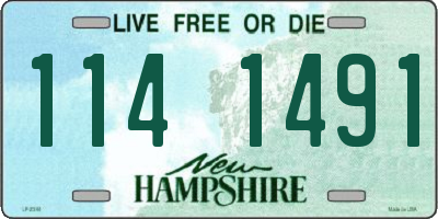 NH license plate 1141491