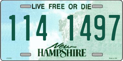 NH license plate 1141497