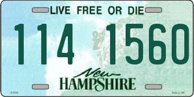 NH license plate 1141560