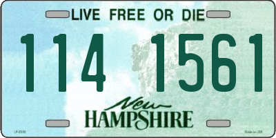 NH license plate 1141561