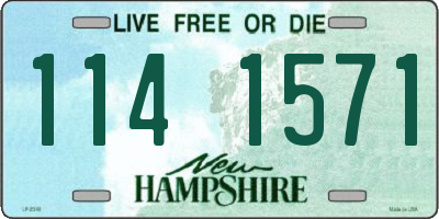 NH license plate 1141571