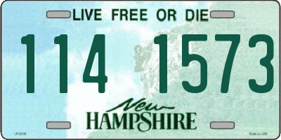 NH license plate 1141573