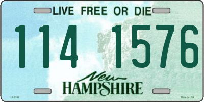 NH license plate 1141576