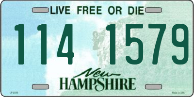 NH license plate 1141579