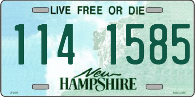 NH license plate 1141585
