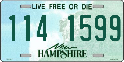 NH license plate 1141599