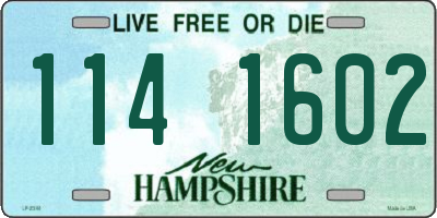 NH license plate 1141602