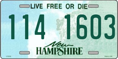 NH license plate 1141603