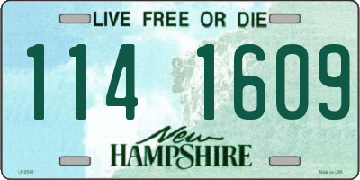 NH license plate 1141609