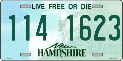 NH license plate 1141623