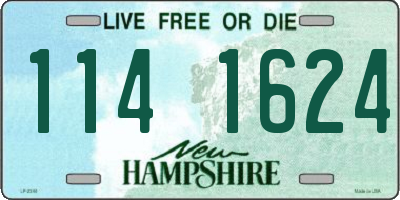 NH license plate 1141624