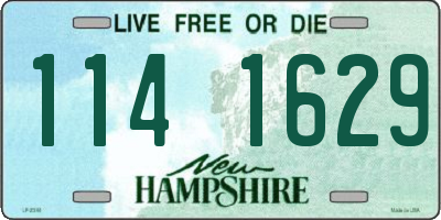 NH license plate 1141629