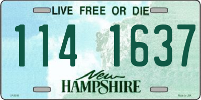NH license plate 1141637
