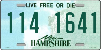 NH license plate 1141641