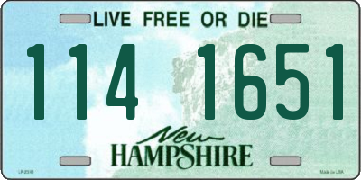 NH license plate 1141651