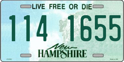 NH license plate 1141655