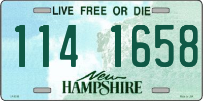NH license plate 1141658
