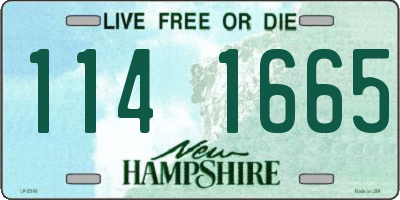 NH license plate 1141665