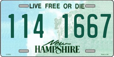 NH license plate 1141667