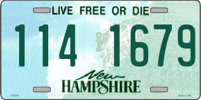 NH license plate 1141679
