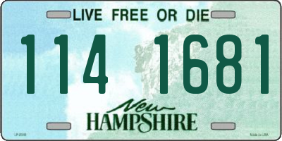 NH license plate 1141681