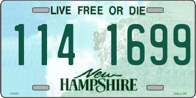 NH license plate 1141699