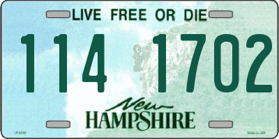 NH license plate 1141702