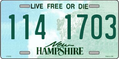 NH license plate 1141703