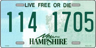 NH license plate 1141705