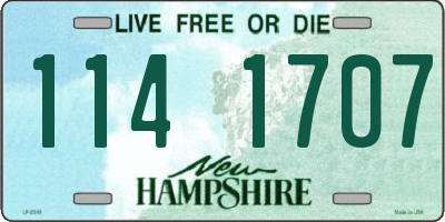 NH license plate 1141707