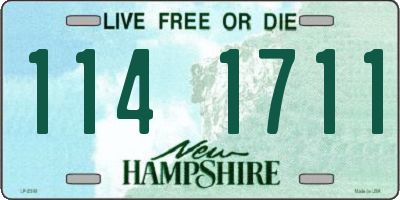 NH license plate 1141711