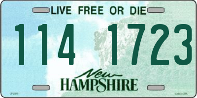 NH license plate 1141723