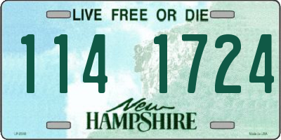 NH license plate 1141724