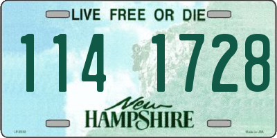 NH license plate 1141728