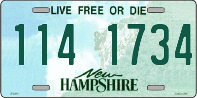 NH license plate 1141734