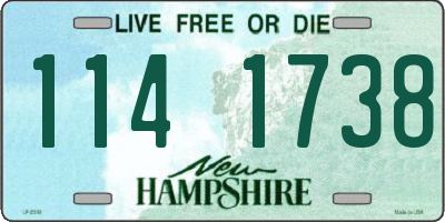 NH license plate 1141738