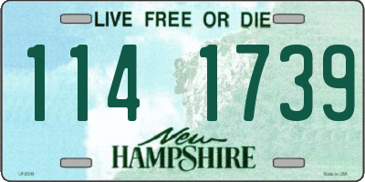 NH license plate 1141739