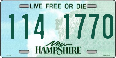 NH license plate 1141770