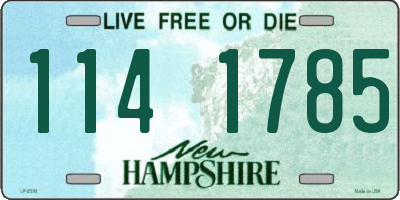 NH license plate 1141785