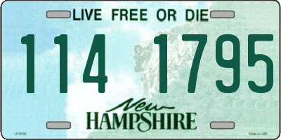 NH license plate 1141795