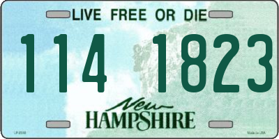 NH license plate 1141823