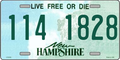NH license plate 1141828