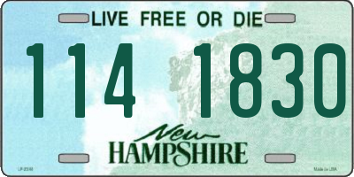 NH license plate 1141830