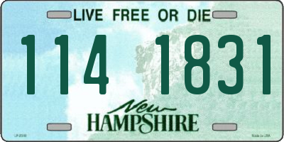 NH license plate 1141831