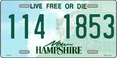 NH license plate 1141853