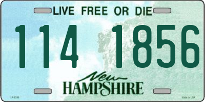 NH license plate 1141856