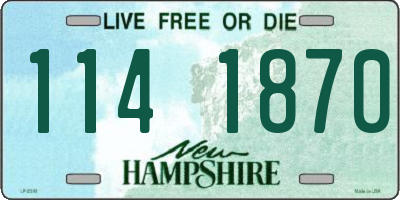 NH license plate 1141870
