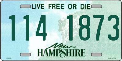 NH license plate 1141873
